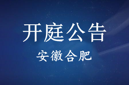 抚顺【安徽省合肥市中级人民法院】宋玉成律师开庭公告